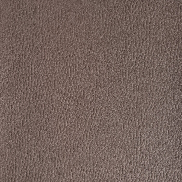 Nueva colección 2026 New Buffalo