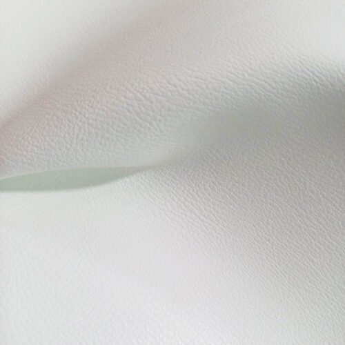 Falco Blanco