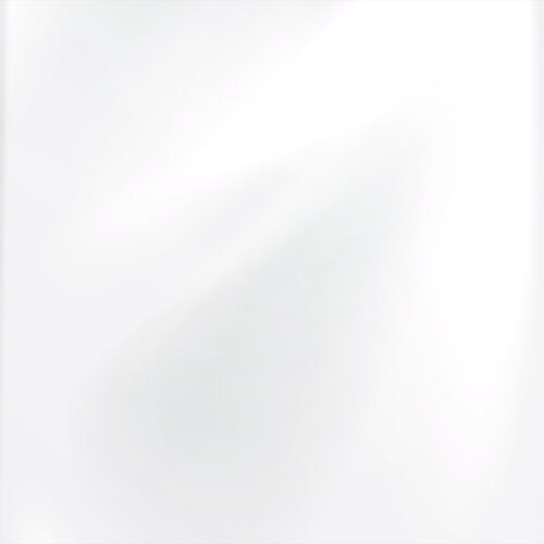 New Choo-Transparente