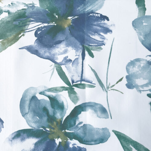 naturaleza1-aqua