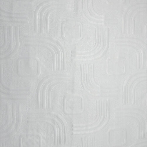 remo1
